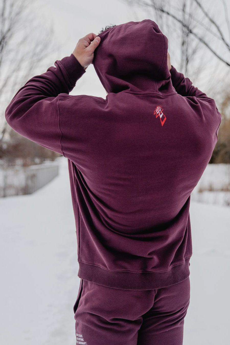 All Or Nothing French Terry Classic Zip-Up Hoodie - Maroon - Jed North Canada